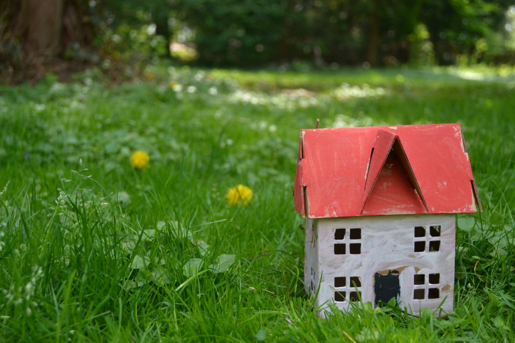 little house in grass