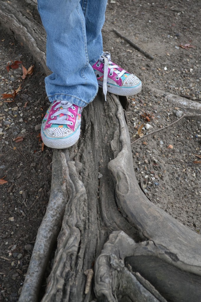girls sneakersa on a tree root
