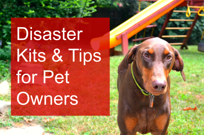 5 Disaster Tips for Pet Owners